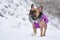 Small fawn French Bulldog dog wearing a purple winter coat in snow landscape