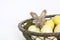 Small Felted Bunny or Rabbit in Basket of Pale Eggs on Moss and