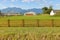 Small Fenced Pasture on Hobby Farm