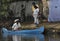 Small Ferry in the backwaters of Kerala, India