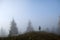 Small figure of lonely hiker enjoying his time on wild forest trail on foggy autumn day