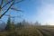 Small figure of lonely hiker enjoying his time on wild forest trail on foggy autumn day