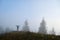 Small figure of lonely hiker enjoying his time on wild forest trail on foggy autumn day