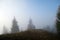 Small figure of lonely hikers enjoying his time on wild forest trail on foggy autumn day