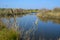 A small fish pool close to Kibbutz Nahsholim Israel