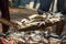 Small fish on a shovel. Unloading of a fishing vessel.