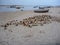 Small fishermens boats at the seaside