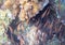 Small fishes and sea urchin. Tropical seashore inhabitants underwater photo.