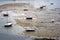 Small Fishing Boats in a Port at Low Tide