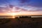 Small fishing cabins on the island Faro, Sweden