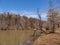 Small Fishing Pond at Mayo River State Park