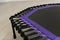 small fitness cyan little empty space purple jump growth trampoline leisure white game