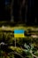 Small flag of Ukraine, made of paper in the forest, close up