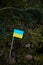 Small flag of Ukraine, made of paper in the forest, close up