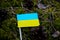 Small flag of Ukraine, made of paper in the forest, close up