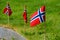 Small flags of Norway decorate green lawn on public holiday