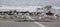 Small flock of seagulls on ramp by sea