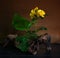 Small flower arrangement with a yellow rose. Ikebana.