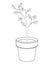 Small flowering tree in flower pots - vector linear picture for coloring. A seedling for planting in the garden. Sapling with flow