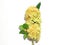 Small flowers bring together decorative bundle on a stick is a large bouquet.