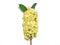 Small flowers bring together decorative bundle on a stick is a large bouquet.