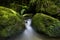 Small flowing stream, New Zealand