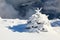 Small fluffy fir trees covered with webby snow. Spruce tree stand in snow swept mountain meadow under a gray winter sky.