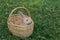 A small fluffy ginger rabbit sits in a wicker basket. On the street. Daylight. Summer. Close-up, horizontal photo