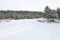 Small fluffy snowy fir trees grow in a nursery