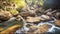 Small Foamy River Flow among Brown Rocks in Park