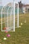 Small Football Goal and Colorful Delimiters in Outdoor Green Fie