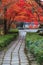 A small footpath in a garden surrounded by forest and plants in autumn, with red maple trees, in Saihoji Temple in Kyoto, Japan