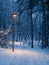 Through the small forest in the winter - lightpost