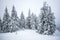 Small fragile tree covered with hoarfrost