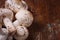 Small fresh raw forest champignons mushrooms on wooden table. Seasonal organic vegan-friendly vegetarian food. Close up, copy