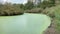 A Small Frog Pond Saturated with Green Duckweed