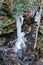 Small frozen waterfall descending over rocky ledge in a forest