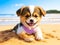 Small funny brown puppy on the sandy beach. Little playful dog