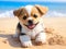 Small funny brown puppy on the sandy beach. Little playful dogon the shore