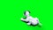 small funny robotic smart dog, pet. Green screen isolate.