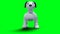 small funny robotic smart dog, pet. Green screen isolate.