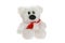 Small funny teddy bear with red bow  toy  isolated at white background. Stuffed puppet animal