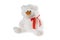 Small funny teddy bear toy  isolated at white background. Stuffed puppet animal