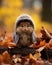 a small furry animal wearing a jacket and hat in the fall leaves