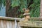 small fuzzy red chipmunk standing on a fence post