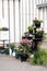 Small garden at the entrance to the house with pots of geraniums, flowers and watering cans