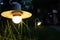 Small Garden Light, Lanterns In grass Bed. Garden Design. Luminarias and Christmas lights decorate a garden at night.