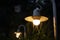 Small Garden Light, Lanterns In grass Bed. Garden Design. Luminarias and Christmas lights decorate a garden at night.