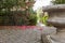 small garden with trimmed shrubs, beautiful flowering plants and trees and a stone decorative bird bath.