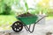 Small garden wheelbarrow with growing seedling in the soil.